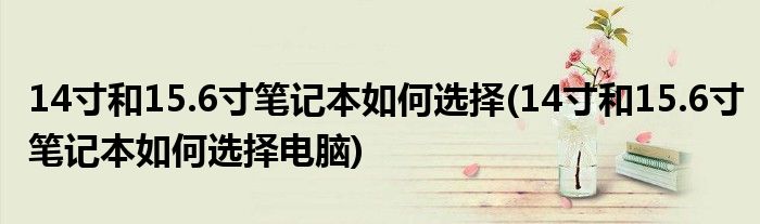 14寸和15.6寸笔记本如何选择(14寸和15.6寸笔记本如何选择电脑)