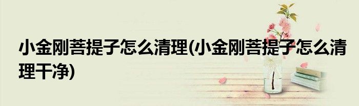 小金刚菩提子怎么清理(小金刚菩提子怎么清理干净)