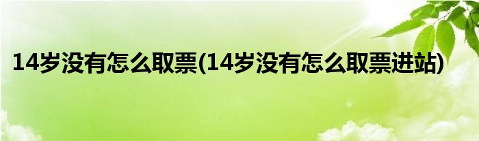 14岁没有怎么取票(14岁没有怎么取票进站)