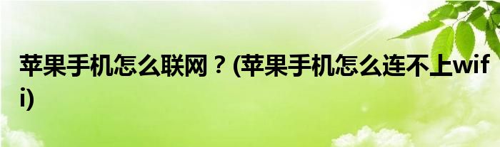 苹果手机怎么联网？(苹果手机怎么连不上wifi)