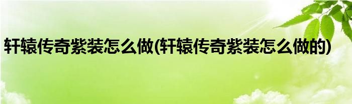轩辕传奇紫装怎么做(轩辕传奇紫装怎么做的)