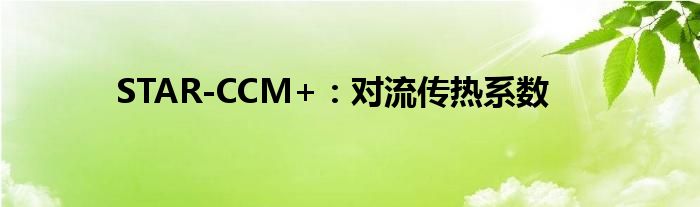 STAR-CCM+：对流传热系数