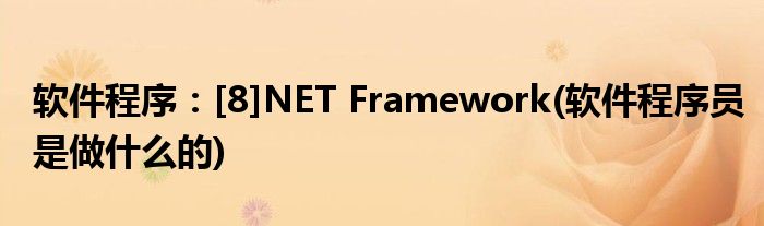 软件程序：[8]NET Framework(软件程序员是做什么的)