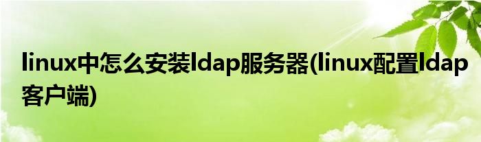 linux中怎么安装ldap服务器(linux配置ldap客户端)