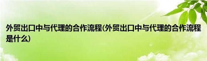 外贸出口中与代理的合作流程(外贸出口中与代理的合作流程是什么)
