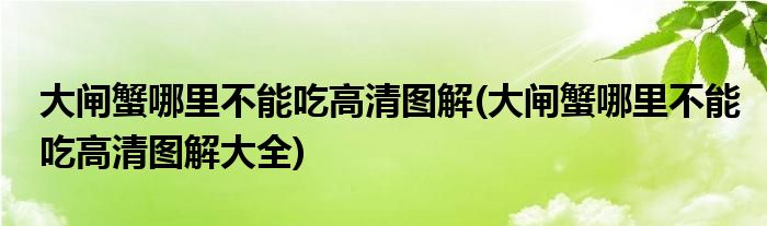 大闸蟹哪里不能吃高清图解(大闸蟹哪里不能吃高清图解大全)
