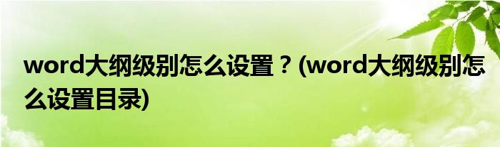 word大纲级别怎么设置？(word大纲级别怎么设置目录)
