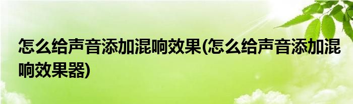 怎么给声音添加混响效果(怎么给声音添加混响效果器)