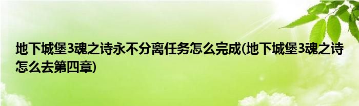 地下城堡3魂之诗永不分离任务怎么完成(地下城堡3魂之诗怎么去第四章)