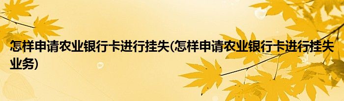 怎样申请农业银行卡进行挂失(怎样申请农业银行卡进行挂失业务)