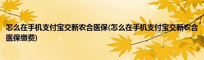 怎么在手机支付宝交新农合医保(怎么在手机支付宝交新农合医保缴费)