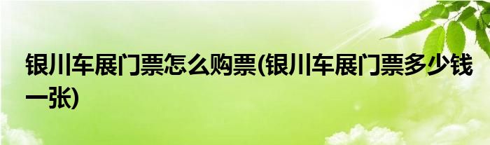 银川车展门票怎么购票(银川车展门票多少钱一张)