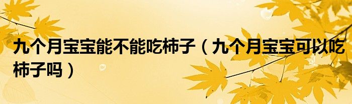 九个月宝宝能不能吃柿子（九个月宝宝可以吃柿子吗）