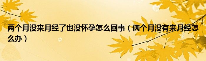 两个月没来月经了也没怀孕怎么回事（俩个月没有来月经怎么办）