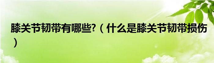 膝关节韧带有哪些?（什么是膝关节韧带损伤）