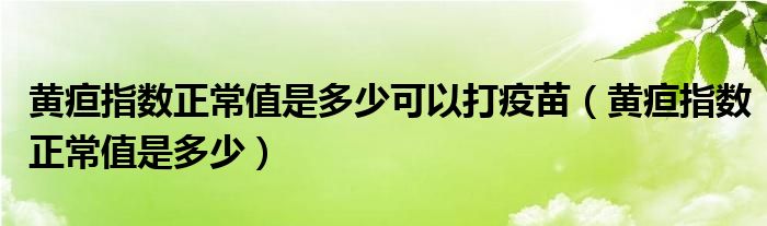 黄疸指数正常值是多少可以打疫苗（黄疸指数正常值是多少）