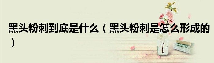 黑头粉刺到底是什么（黑头粉刺是怎么形成的）