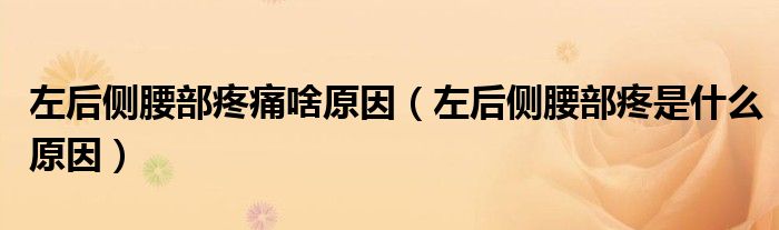 左后侧腰部疼痛啥原因（左后侧腰部疼是什么原因）
