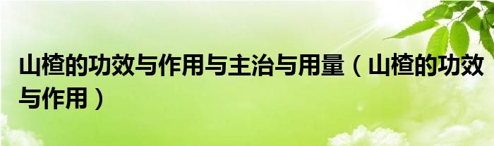 山楂的功效与作用与主治与用量（山楂的功效与作用）