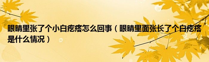 眼睛里张了个小白疙瘩怎么回事（眼睛里面张长了个白疙瘩是什么情况）