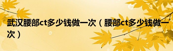 武汉腰部ct多少钱做一次（腰部ct多少钱做一次）