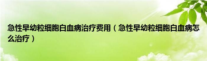 急性早幼粒细胞白血病治疗费用（急性早幼粒细胞白血病怎么治疗）