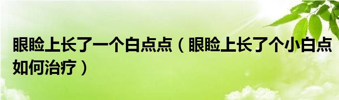 眼睑上长了一个白点点（眼睑上长了个小白点如何治疗）