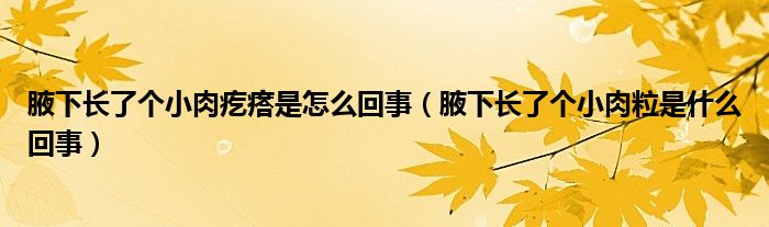 腋下长了个小肉疙瘩是怎么回事（腋下长了个小肉粒是什么回事）