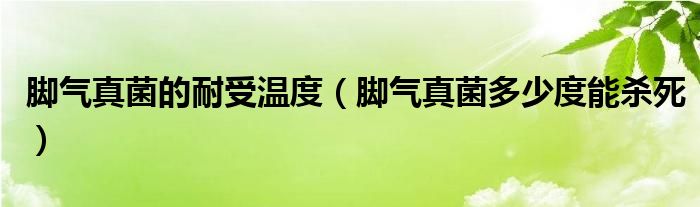 脚气真菌的耐受温度（脚气真菌多少度能杀死）