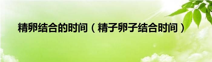 精卵结合的时间（精子卵子结合时间）