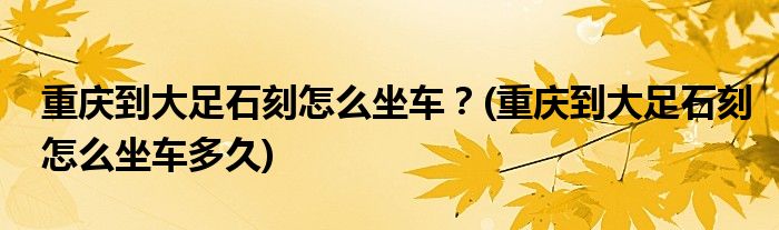 重庆到大足石刻怎么坐车？(重庆到大足石刻怎么坐车多久)