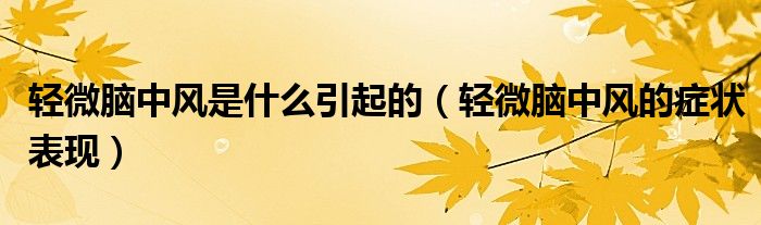 轻微脑中风是什么引起的（轻微脑中风的症状表现）
