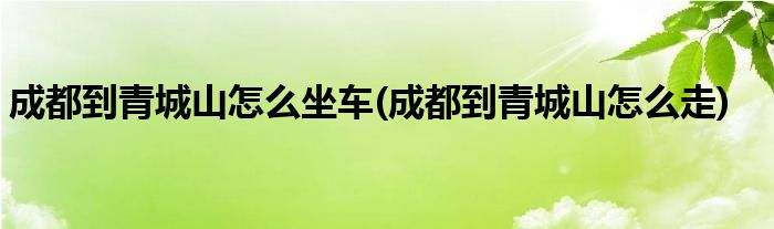 成都到青城山怎么坐车(成都到青城山怎么走)