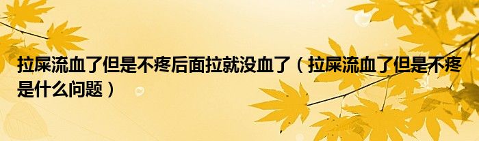 拉屎流血了但是不疼后面拉就没血了（拉屎流血了但是不疼是什么问题）