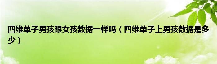 四维单子男孩跟女孩数据一样吗（四维单子上男孩数据是多少）