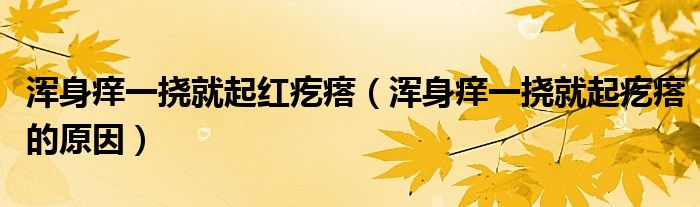 浑身痒一挠就起红疙瘩（浑身痒一挠就起疙瘩的原因）