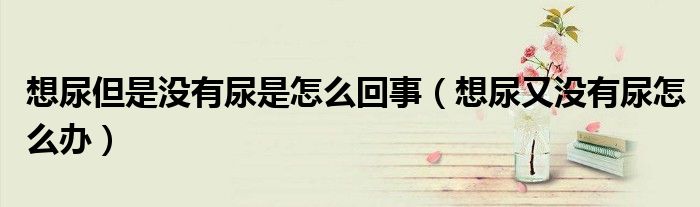 想尿但是没有尿是怎么回事（想尿又没有尿怎么办）