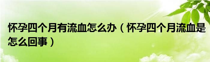 怀孕四个月有流血怎么办（怀孕四个月流血是怎么回事）