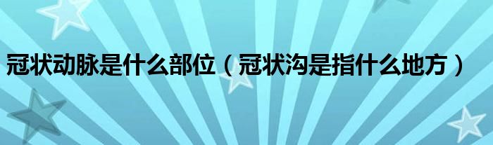 冠状动脉是什么部位（冠状沟是指什么地方）