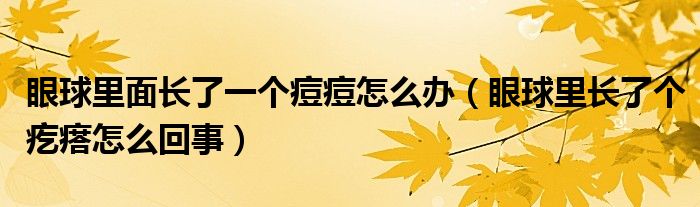 眼球里面长了一个痘痘怎么办（眼球里长了个疙瘩怎么回事）