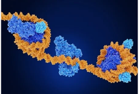 研究揭示生活方式选择和 DNA 甲基化在胃肿瘤风险中的相互作用