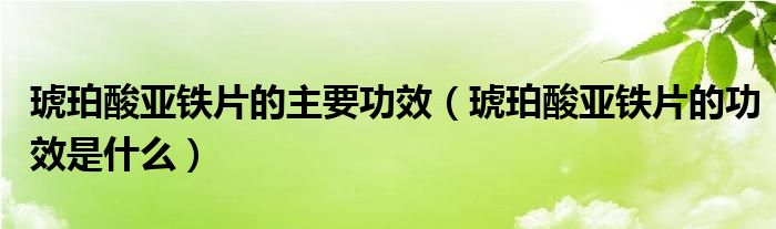 琥珀酸亚铁片的主要功效（琥珀酸亚铁片的功效是什么）