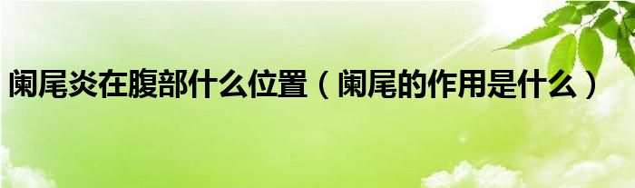 阑尾炎在腹部什么位置（阑尾的作用是什么）