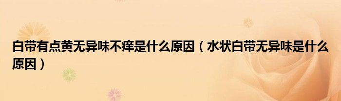 白带有点黄无异味不痒是什么原因（水状白带无异味是什么原因）
