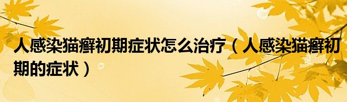 人感染猫癣初期症状怎么治疗（人感染猫癣初期的症状）