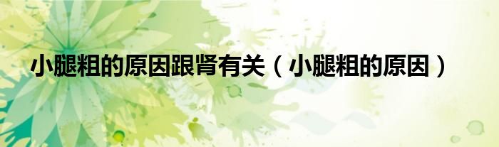 小腿粗的原因跟肾有关（小腿粗的原因）
