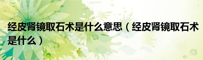 经皮肾镜取石术是什么意思（经皮肾镜取石术是什么）