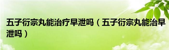 五子衍宗丸能治疗早泄吗（五子衍宗丸能治早泄吗）