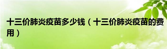 十三价肺炎疫苗多少钱（十三价肺炎疫苗的费用）