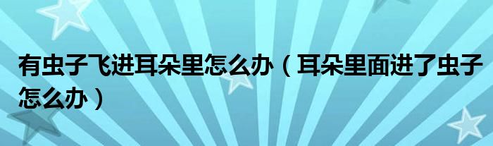 有虫子飞进耳朵里怎么办（耳朵里面进了虫子怎么办）